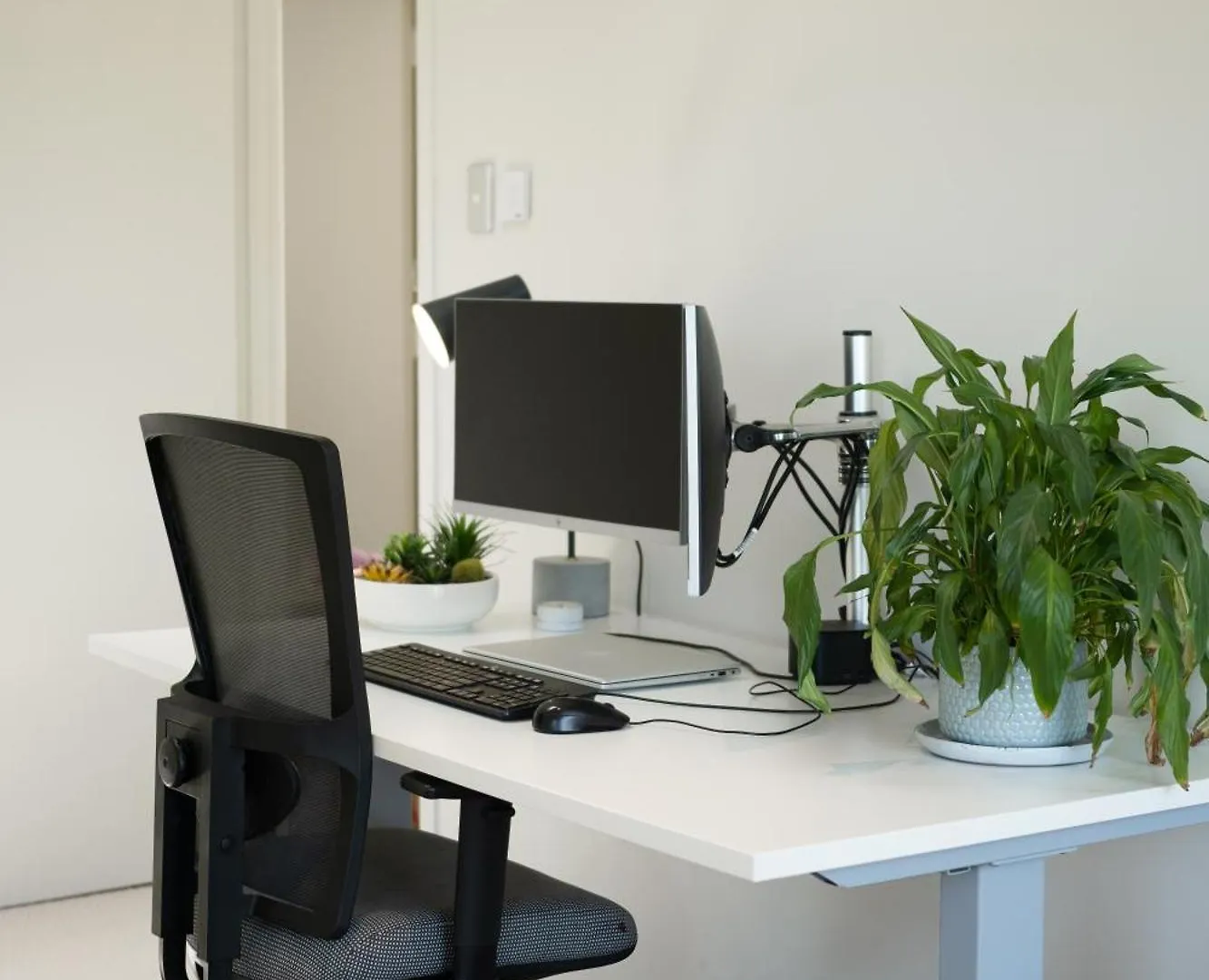 Luxurious Central City Living Christchurch Apartment